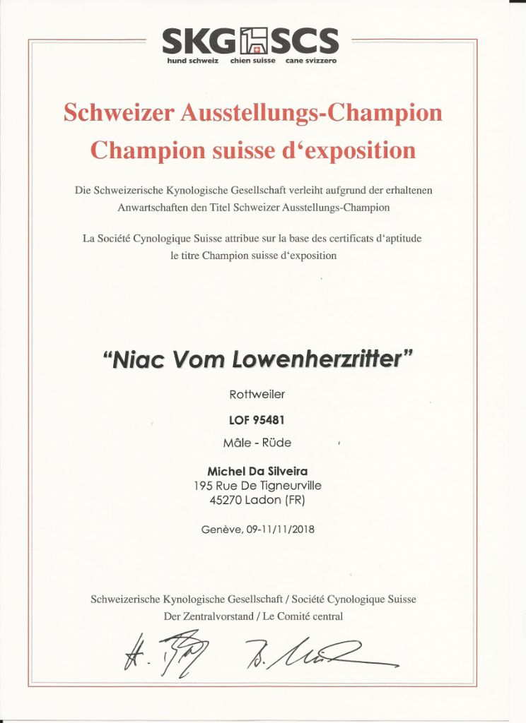 Vom lowenherzritter - CHAMPION DE SUISSE et INTERNATIONAL