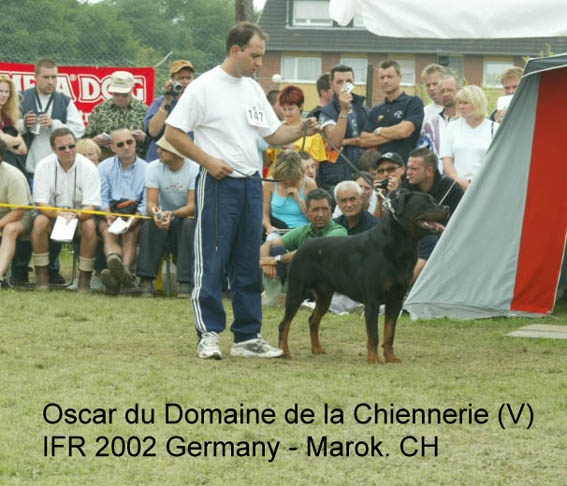 Oscar du domaine de la chiennerie